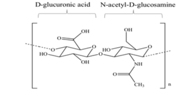 D-glucoronic acid
